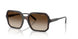 238613 - Brown - Brown Gradient