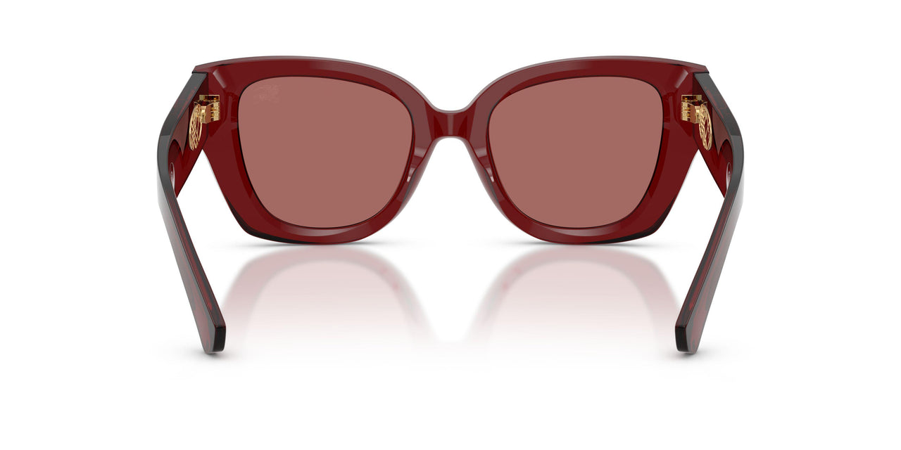 419269 - Red - Dark Violet
