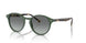 309211 - Green - Grey Gradient
