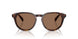 613773 - Tortoise - Dark Brown