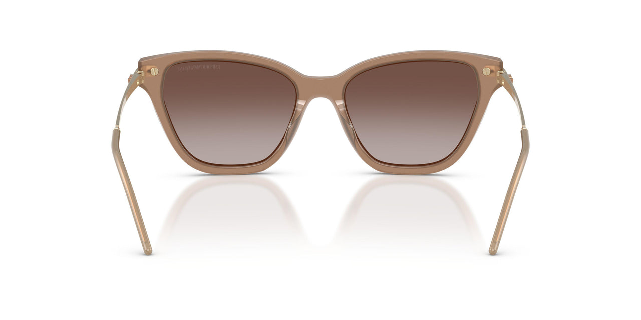 626313 - Brown - Gradient Brown