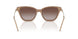 626313 - Brown - Gradient Brown