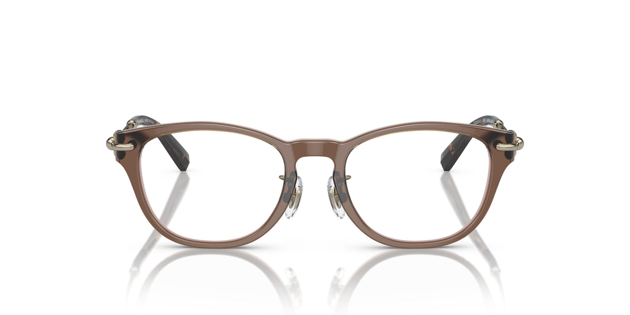 8255 - Brown