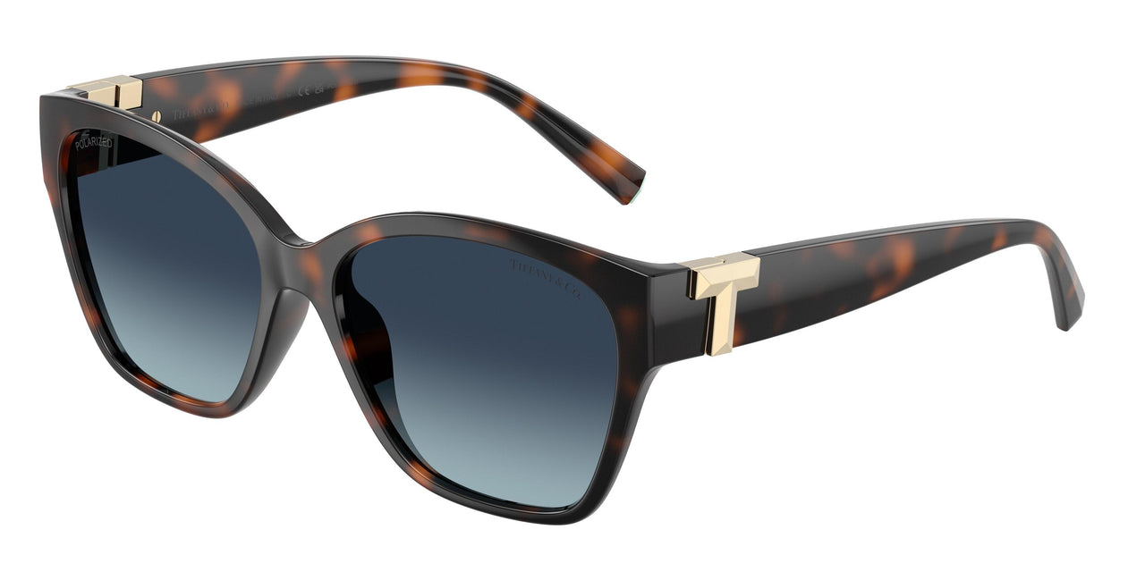 84554U - Tortoise - Azure Gradient Blue Polarized