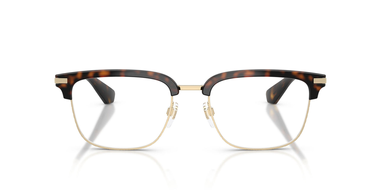 3002 - Brown
