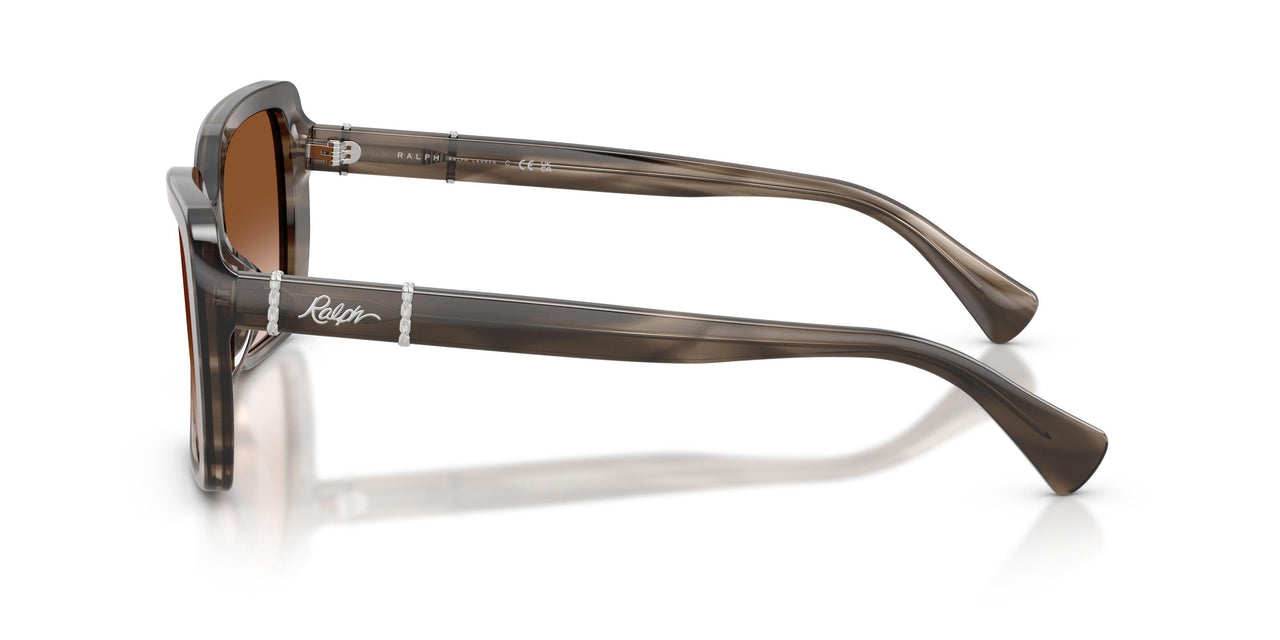 638313 - Grey - Gradient Brown