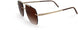 7620 - Gold / Darkbrown - SLM Dark Brown Gradient