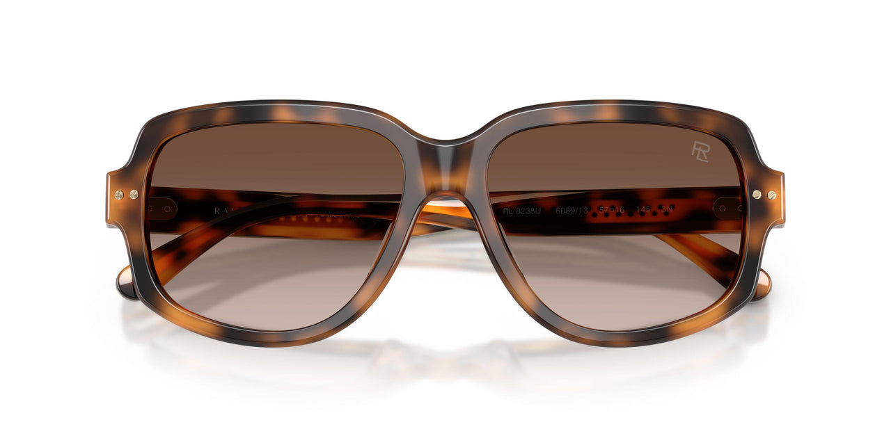 608913 - Tortoise - Gradient Brown