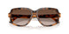 608913 - Tortoise - Gradient Brown