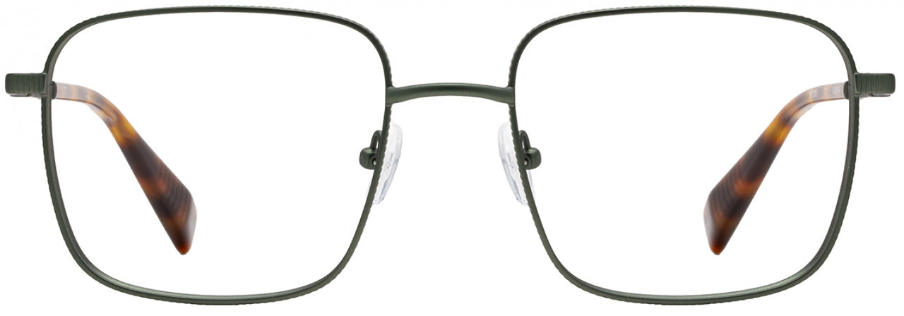 1 - Ivy / Tortoise