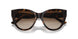 W65613 - Havana - Brown Gradient