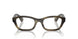 001 - Brown
