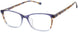 Buffalo by David Bitton BWUF002 Eyeglasses