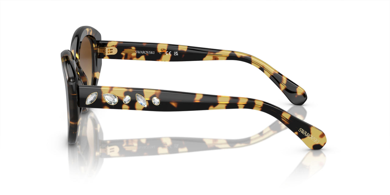 100913 - Tortoise - Brown Gradient
