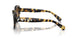 100913 - Tortoise - Brown Gradient