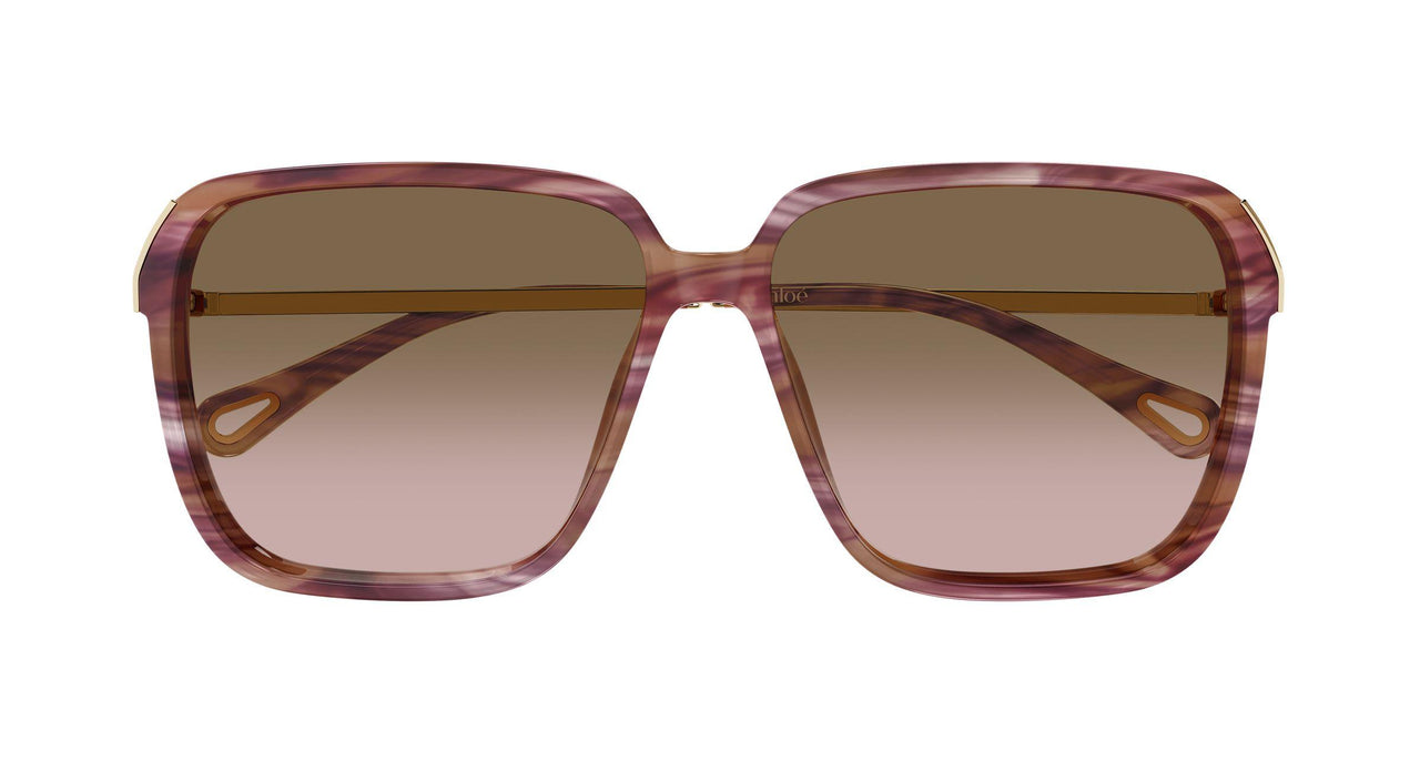 002 - Havana/Gold - Brown