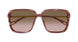 002 - Havana/Gold - Brown