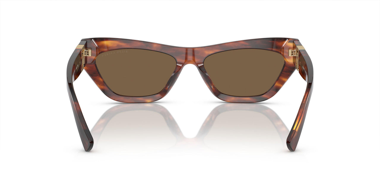 500773 - Brown - Brown