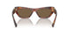 500773 - Brown - Brown