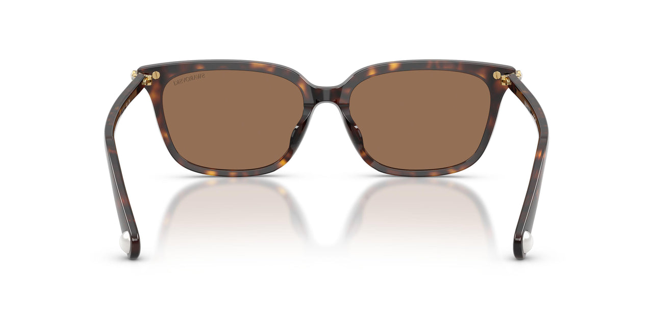100273 - Tortoise - Dark Brown