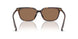 100273 - Tortoise - Dark Brown