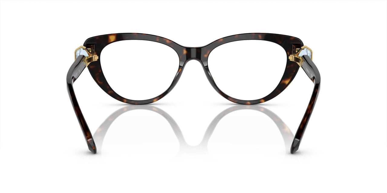 1002 - Brown