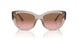 299014 - Brown - Pink Gradient Brown