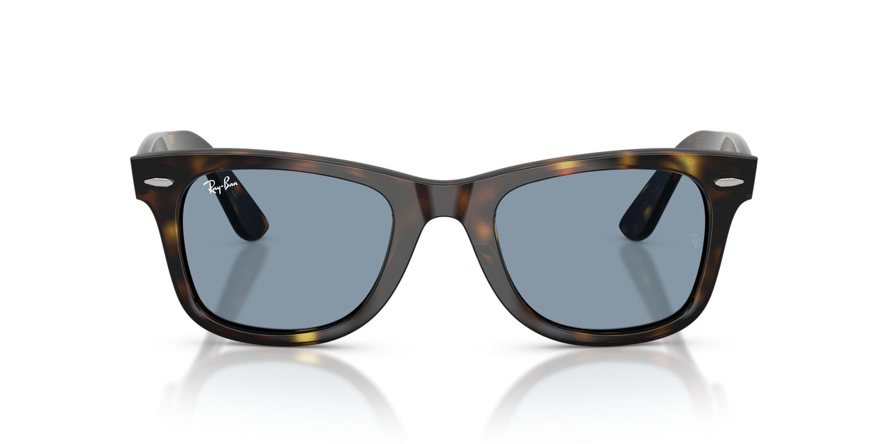 710/56 - Tortoise - Blue