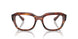 8315 - Brown - Clear