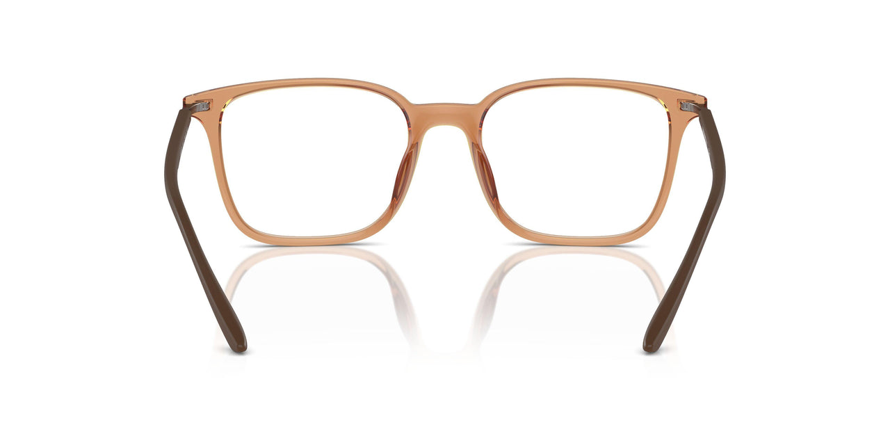 6110 - Brown