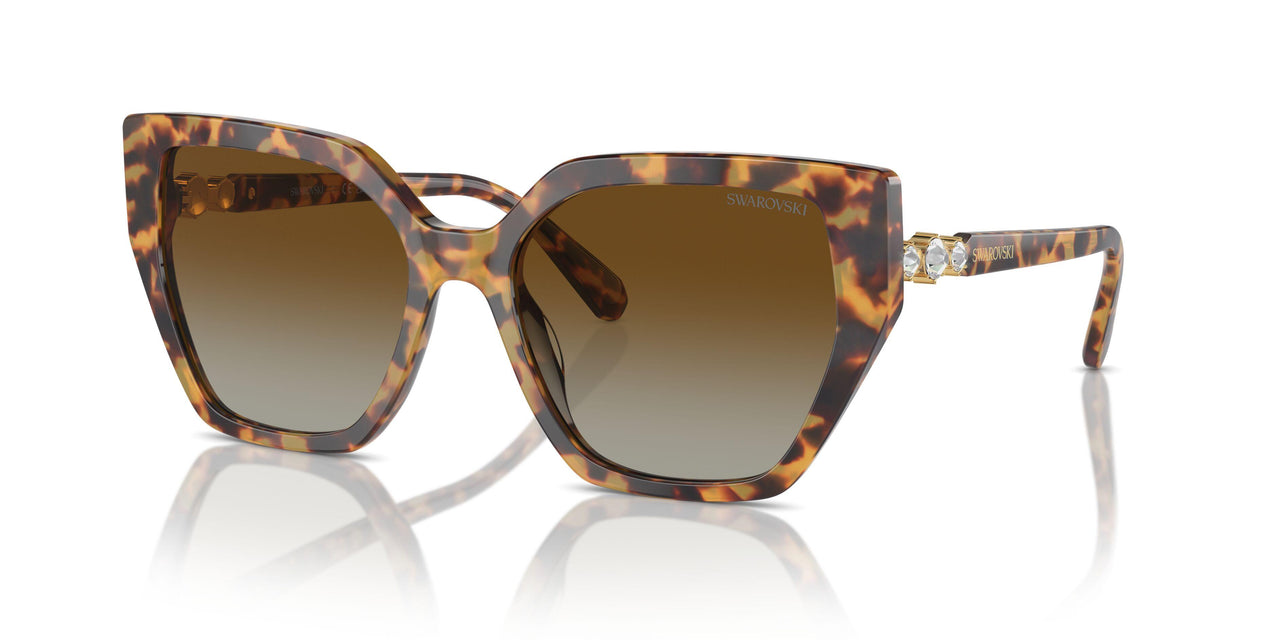1004T5 - Tortoise - Brown