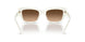 603474 - Light Brown - Gradient Brown