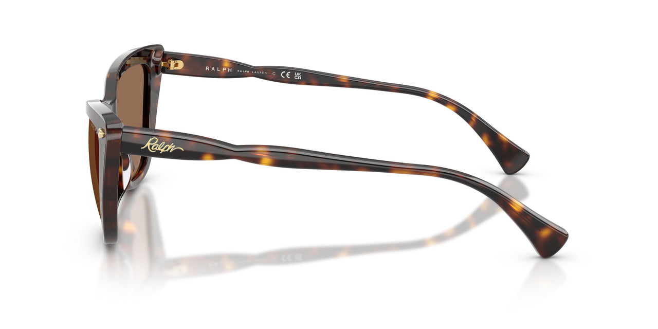 500373 - Tortoise - Brown