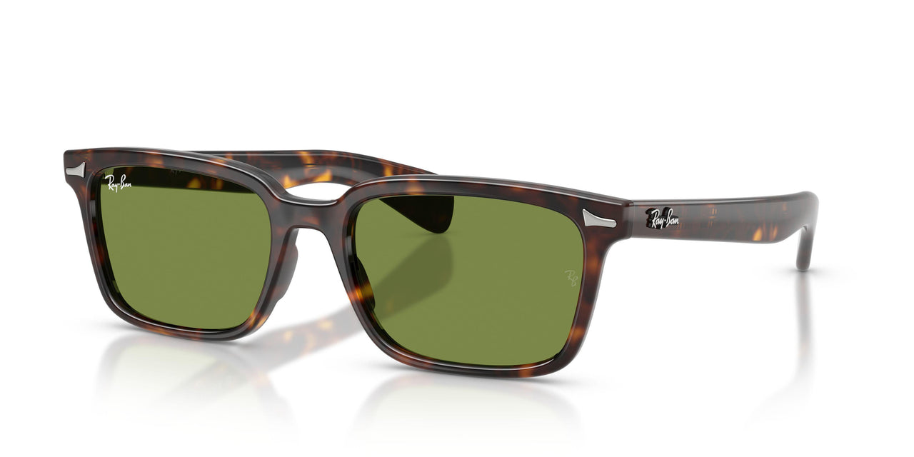 Ray-Ban Brunel 2234 Sunglasses