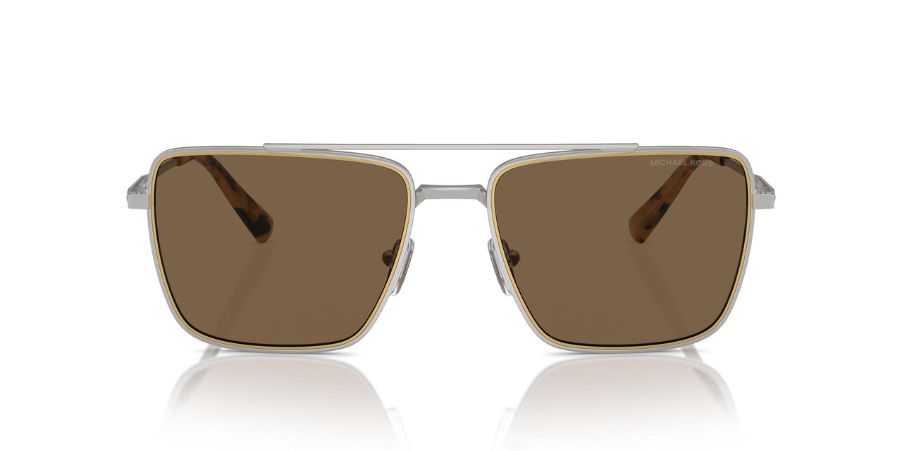 189373 - Silver - Brown Solid