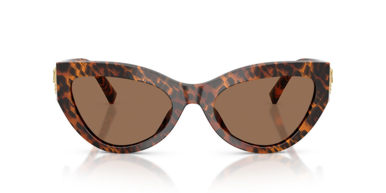 347073 - Brown - Dark Brown