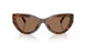 347073 - Brown - Dark Brown