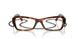 W656 - Brown