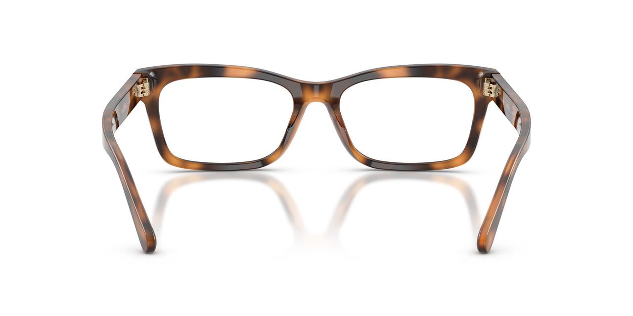 6089 - Tortoise