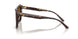 500283 - Tortoise - Dark Brown Polarized