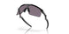 901001 - Black - Prizm Grey