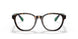 5003 - Brown