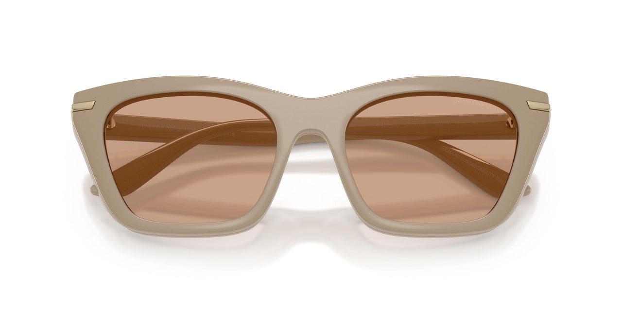 63791W - Brown - Clear