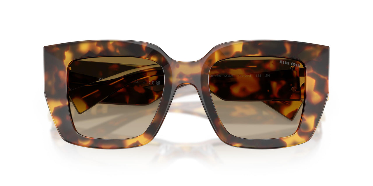 14L20U - Tortoise - Brown Gradient