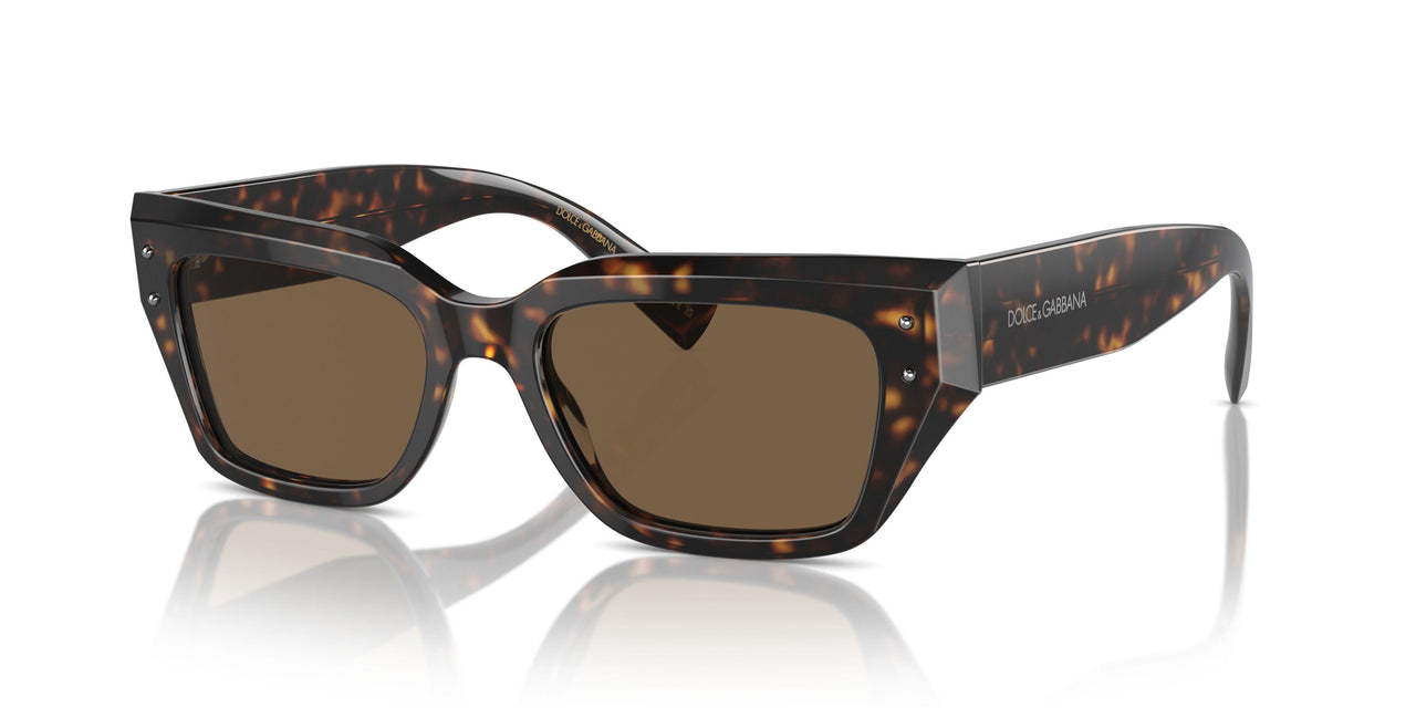 502/73 - Tortoise - Dark Brown