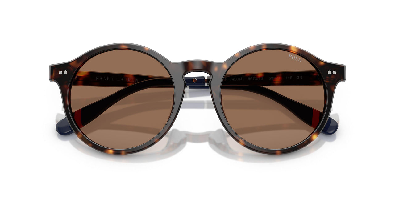 567373 - Tortoise - Dark Brown