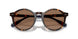 567373 - Tortoise - Dark Brown