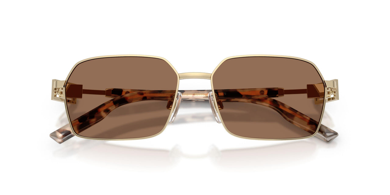 488/73 - Gold - Dark Brown