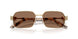 488/73 - Gold - Dark Brown
