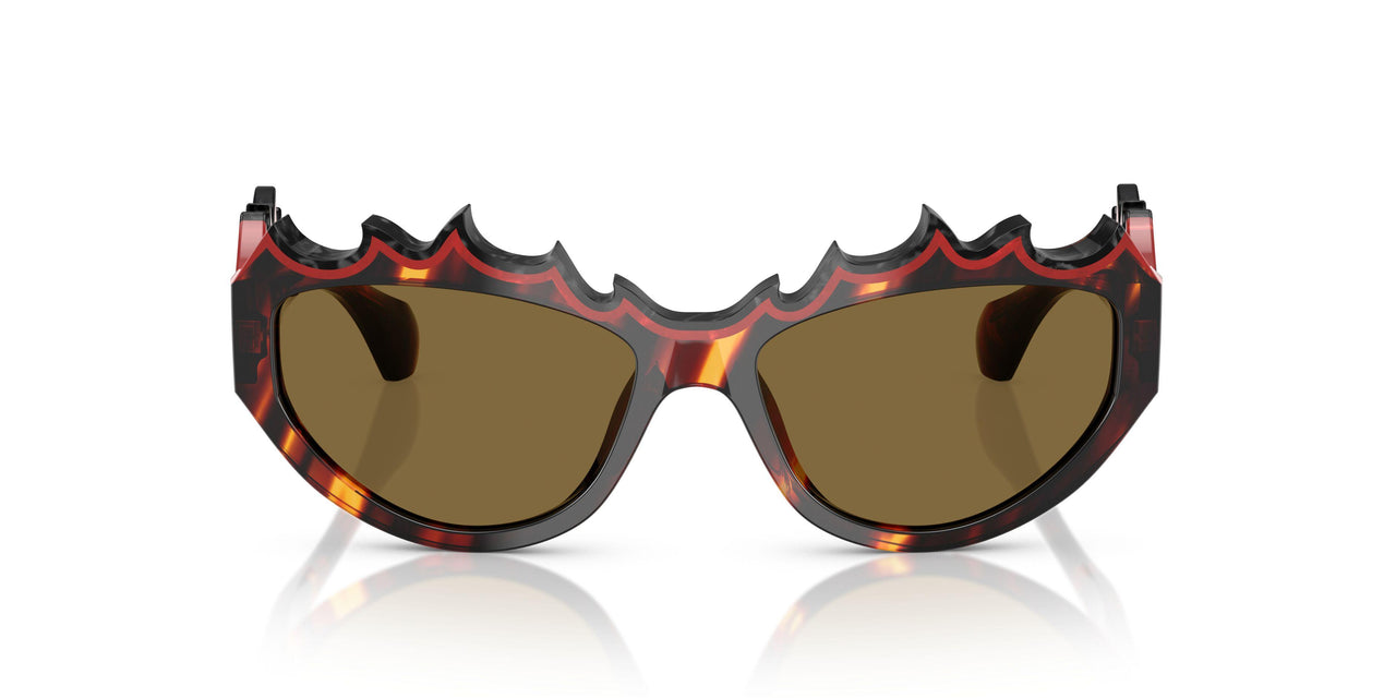003/73 - Tortoise - Brown